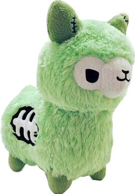 teddy lama