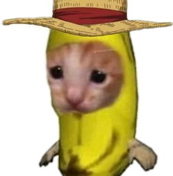 cat banana funny hastag shannel freetoedit scpins pins