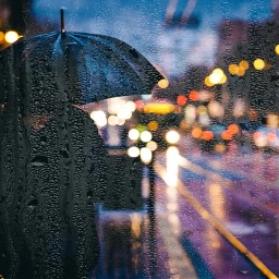 ecrainyseason rainyseason freetoedit street wet