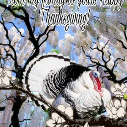 fcthanksgiving thanksgiving