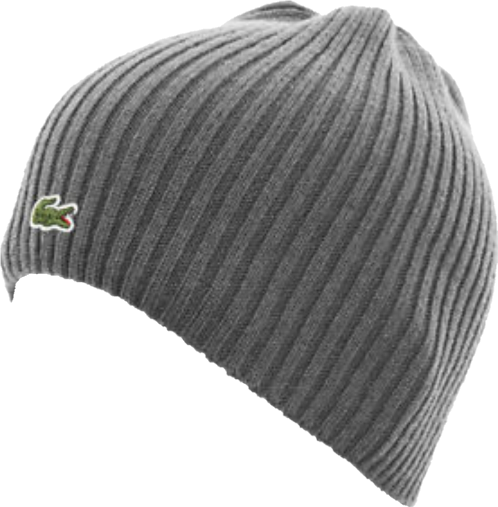 lacoste beanie grey