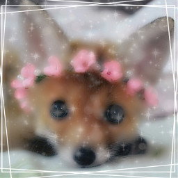 freetoedit fox cute flowercrown sparkles