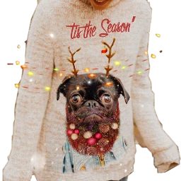 scuglychristmassweater uglychristmassweater freetoedit
