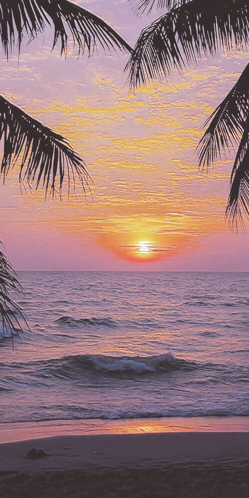 Beach Sunset Aesthetic Image By Jennielivesavocados