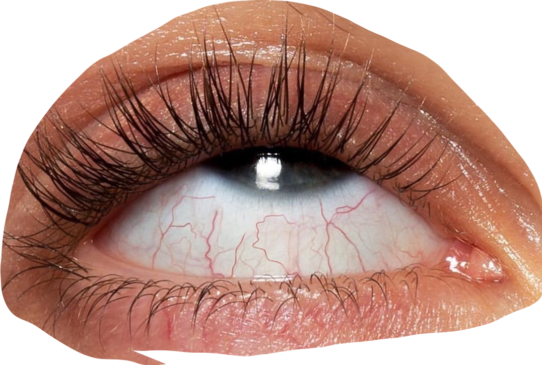 rolleyes freetoedit rolleyes sticker by kevinvladikun