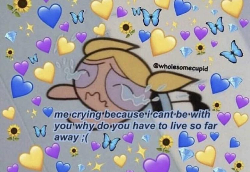 Image By Wholesome Memes Image By Wholesome Memes
