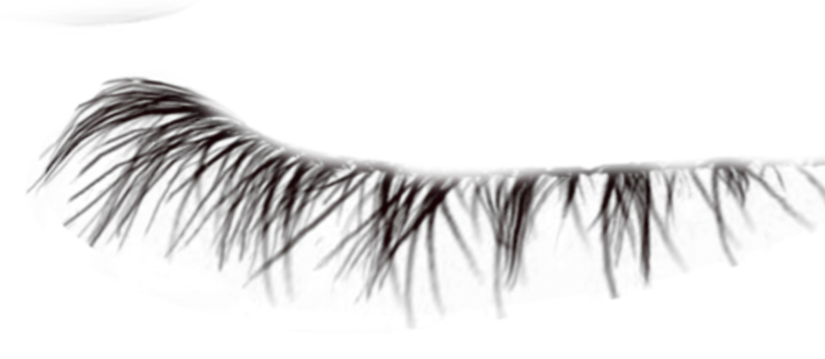 lash lashes falsies bottom bottomlash sticker by woodenrose