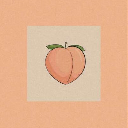 peach peachy персик персики фото