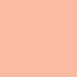 фон цвет однотонный персиковый обои
