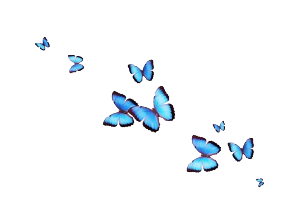 The Coolest Butterfly Stickers on Picsart