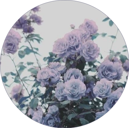 aesthetic purple purpleaesthetic flowers sticker by @dnger