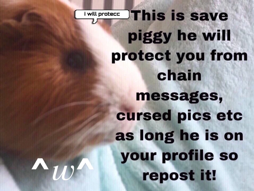 I Image By 𝑇𝑟𝑦 𝑀𝑒 𝐵𝑖𝑡𝑐ℎ I Image By 𝑇𝑟𝑦 𝑀𝑒 𝐵𝑖𝑡𝑐ℎ