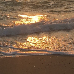 freetoedit ocean beach aesthetic goldenhour