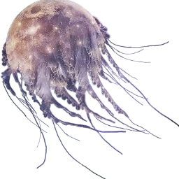 fantasy insomnia bp jellyfish moon freetoedit scmoon