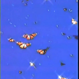 freetoedit vsco aesthetic butterflys viral