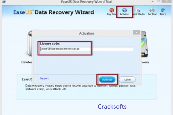 download easeus data recovery wizard 5.0.1