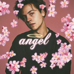 freetoedit colesprouse pink angel pinkaesthetic srccherryblossompetals cherryblossompetals