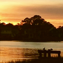 sundown yesterday myhoto sunset ducks freetoedit