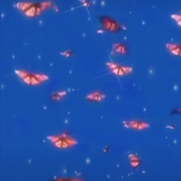 freetoedit butterflies aesthetic sky