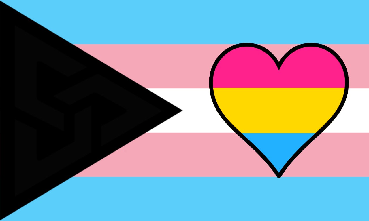 This visual is about freetoedit demisexual pansexual transgender #freetoedi...