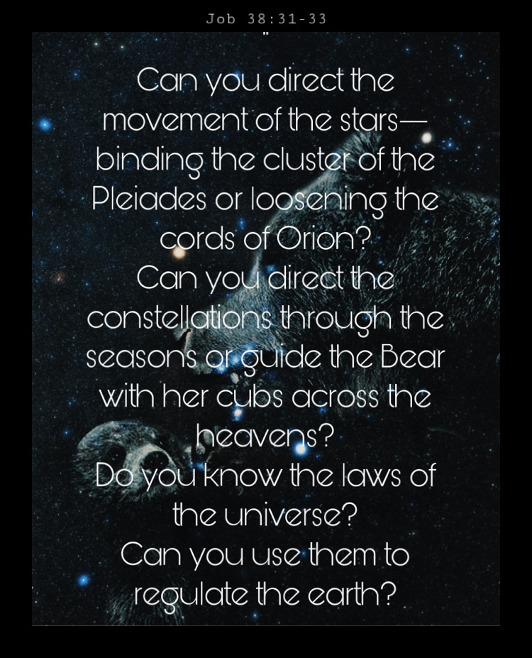 job-38-31-33-https-www-biblegateway-passage-search-job-2038-31