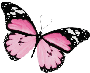 freetoedit butterfly pink cute trendy