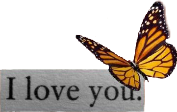 freetoedit iloveyou mariposas mariposa tape