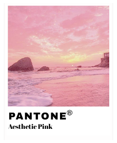 aesthetic pink pantone pinkaesthetic estetica freetoedit