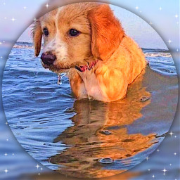 freeicons dogs aesthetic aestheticdogs icons freetoedit