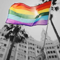 pride pridemonth prideflag eccolorpop colorpop colorsplash
