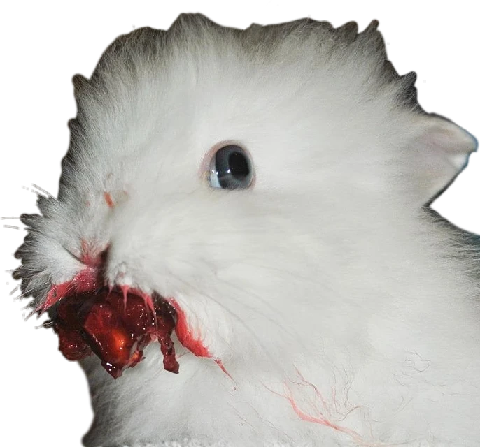 Bun Bunny blood horror rabbit Sticker by 🐰BunBun🐰