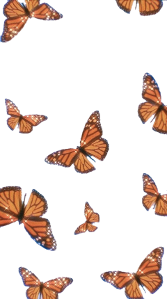 butterflies aesthetic butterfly freetoedit
