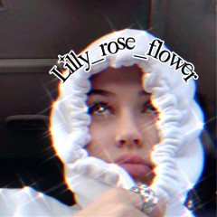 lilly_rose_flower