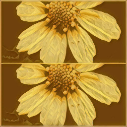 yellowflower ccyellowaesthetic yellowaesthetic
