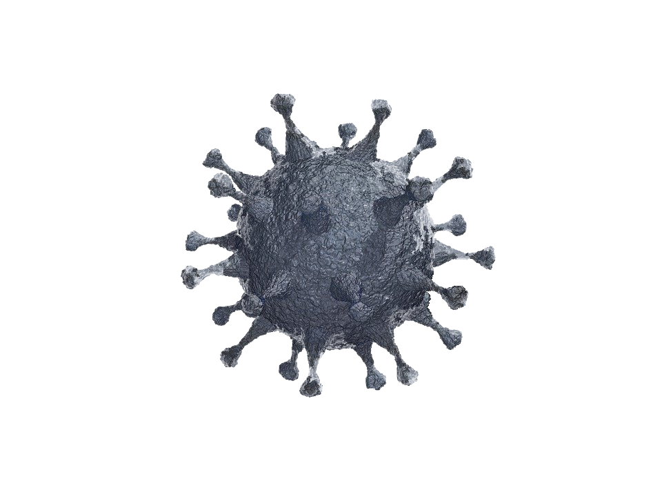 Патогенность вируса ковид. Вирус ковид 19. Вирус коронавирус ковид-19. Коронавирус ковид 19. Картинка вируса ковид 19.