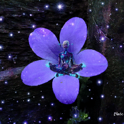 meditationinflower flower meditation girl stars gif etc