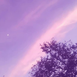Purplesky Similar Hashtags On Picsart
