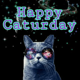 caturday cats cat kitty ifo weekend saturday alien alienart aliens stonerlife potheads weedsmokers freetoedit