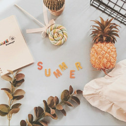 freetoedit pineapple🍍 summer plants lollipop organizer tumblr book fruits cactus🌵 fotoedit aesthetic pineapple cactus