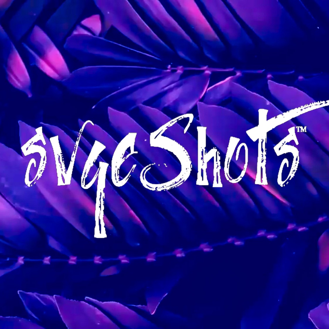 Picsart profile picture for @svgeshots