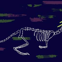 cat drawing digitalart digitalpainting photoshop wacom animal skeleton creature creative freetoedit