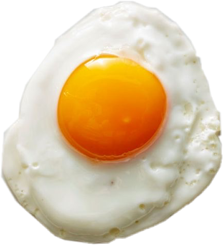 sunnysideup egg eggs breakfast sticker by @lorahovakimyan