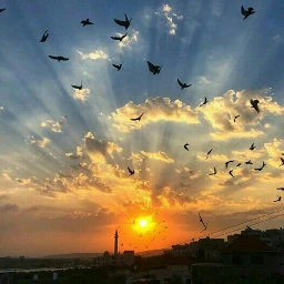 palestine sunshine sunrises photography freetoedit pcgoldenhour goldenhour