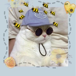 мёд freetoedit srcbethequeenbee bethequeenbee