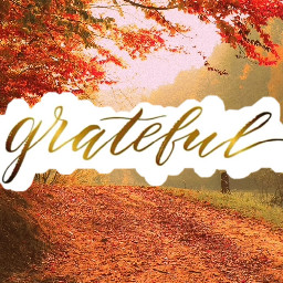 november grateful thankful blessed givethanks fallfoliage autumnvibes moderncalligraphy gold beautiful freetoedit
