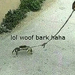 woof bark dog