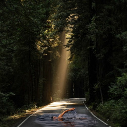 swimming road jungle forrest swimmer freetoedit ircgorgeousforest gorgeousforest