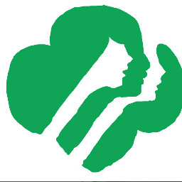 girlsstrong standtogether girlscouts