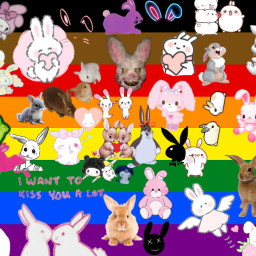 rabbit bunny cute pride animal love freetoedit