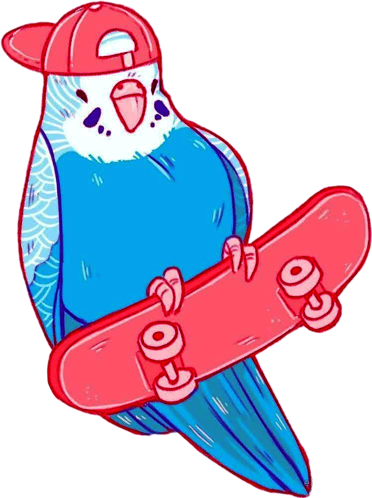 Freetoedit Parrotket Sticker By Aliciacoleman9 